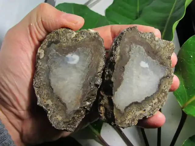 0.516 KILO BRAZIL CHALCEDONY GEODES MS 1879