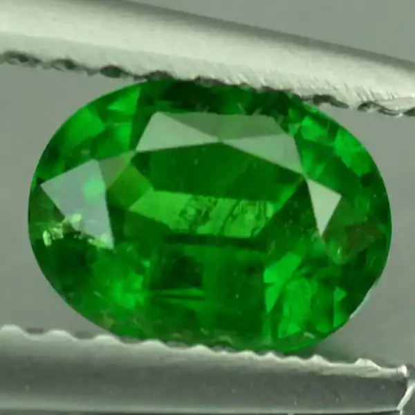 0.92 Cts Natural Untreated Rare Tsavorite Garnet Gemstone