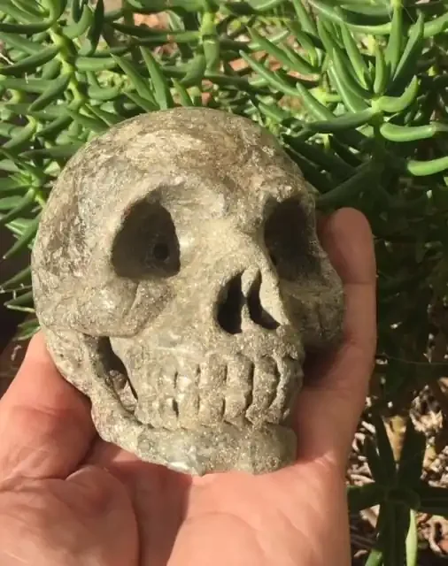 1.2 Kilo Wild Stuffed Pyrite Gemstone Skull