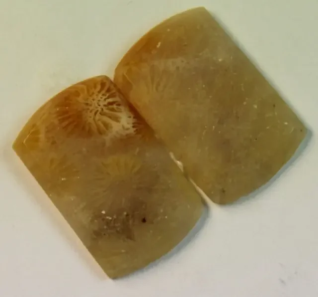 10.40 CTS PAIR OF POLISHED CORAL NATURAL STONES