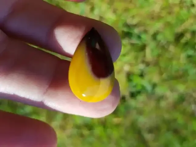 10.5ct 21mm mookaite Jasper drop cabochon
