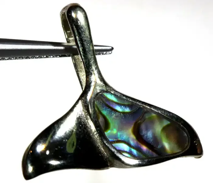 10.60 CTS WHALE TAIL PAUA PENDANT SG-3071