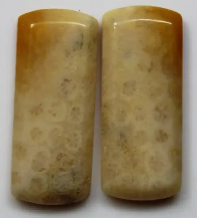10.90 CTS PAIR OF POLISHED CORAL NATURAL STONES