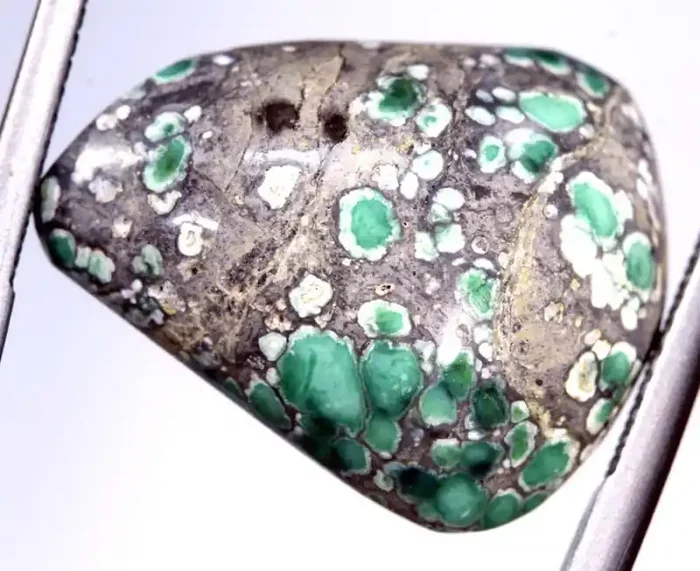 10 CTS BLUEBOY VARISCITE CLAM PSEUDOMORPH TBG-3450