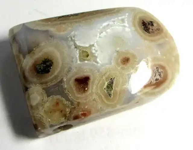 103 CTS SUMATRA FOSSIL FLOATING FISH AGATE BEAD GG540