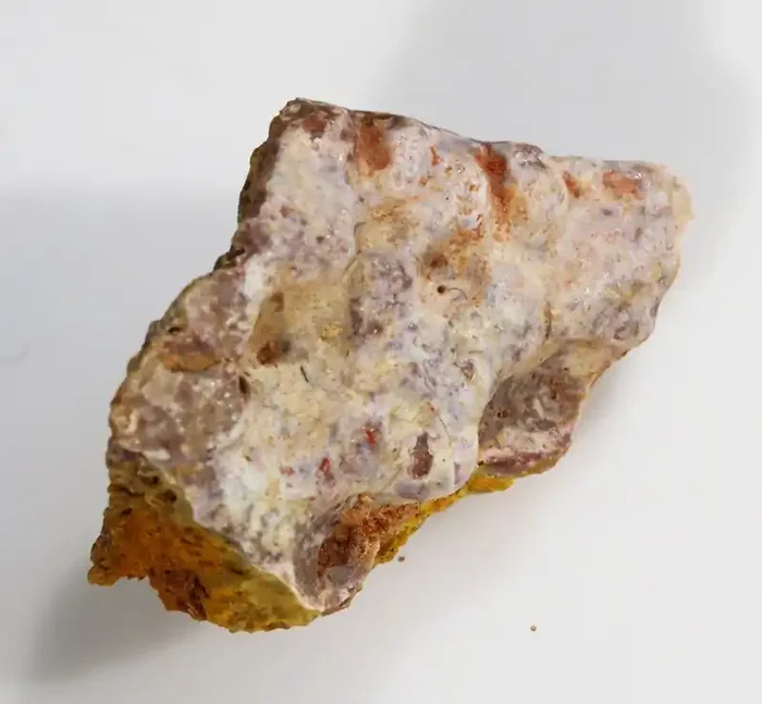 11.00Cts Fossil Dinosaur Bone Morocco SU 259
