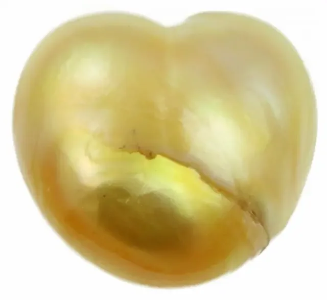 11.5 Cts Golden Love Heart Shape Natural Pearl PPP893