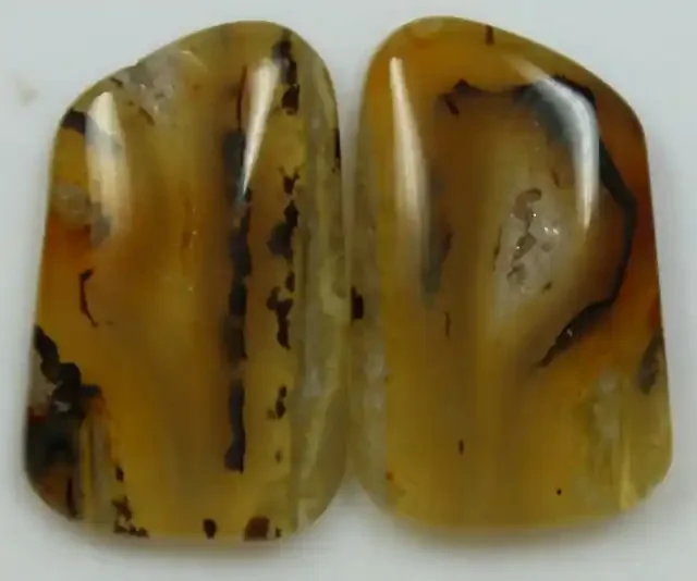 11.50 CTS AGATE PAIR POLISHED STONES GREAT RANGE IN STORE