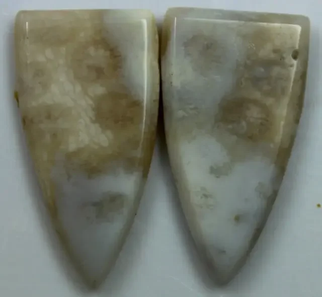 11.65 CTS PAIR OF POLISHED CORAL NATURAL STONES
