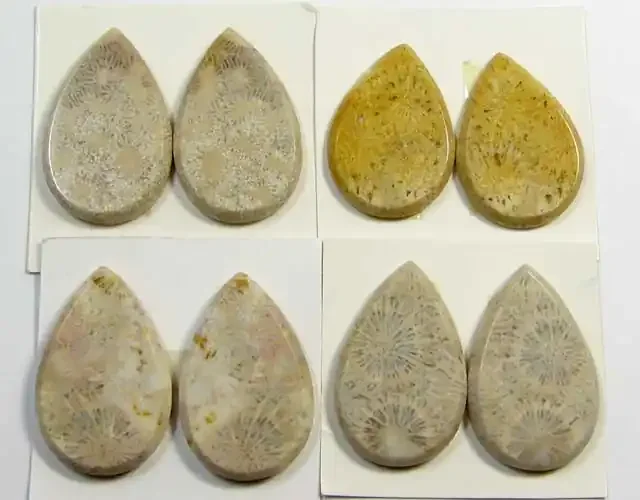 111 CTS PAIRS NATURAL CORAL FOSSIL STONES MS1046