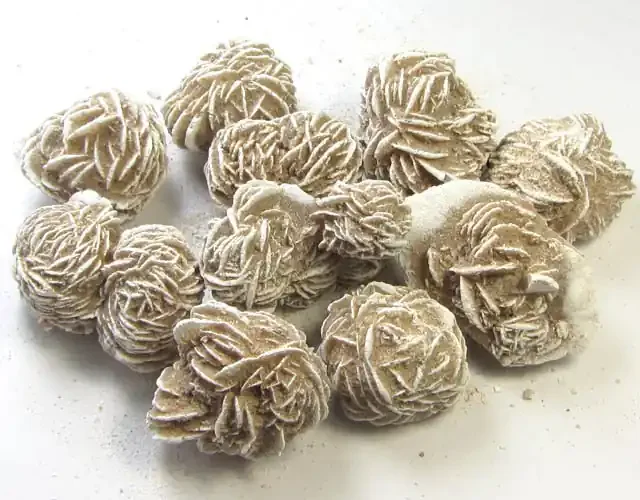 1137 CTS PARCEL DESERT ROSE SPECIMENS MS 1521