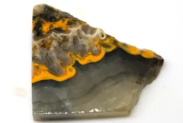119 CTS BUMBLE BEE JASPER ROUGH SLAB -INDONESIA [F5781 ]
