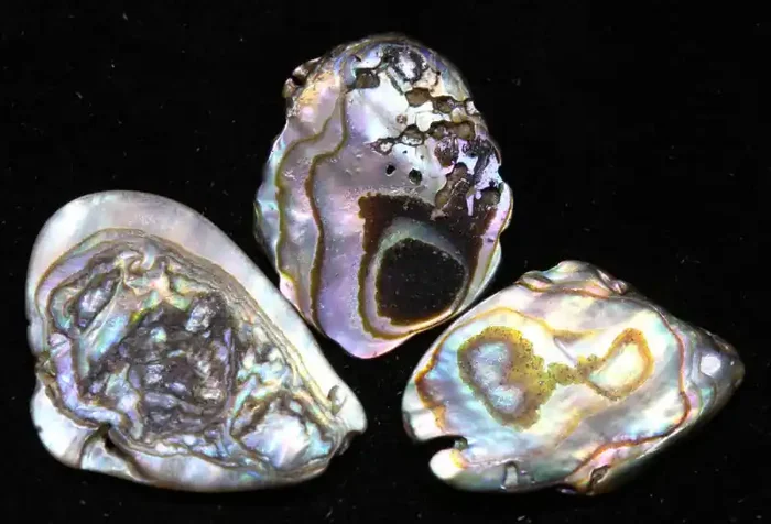 12.65 CTS ABALONE SHELL PARCEL (3PCS) ADG-1177