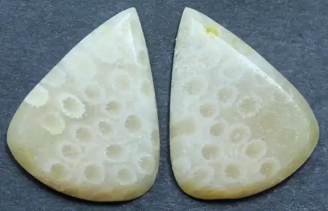 12.75 CTS CORAL PAIR NATURAL STONE PERFECT FOR EARRINGS