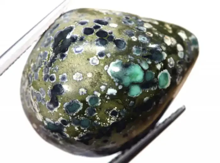 12 CTS BLUEBOY VARISCITE CLAM PSEUDOMORPH TBG-3442