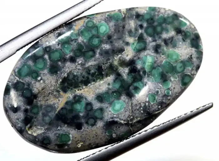 12 CTS BLUEBOY VARISCITE CLAM PSEUDOMORPH TBG-3463