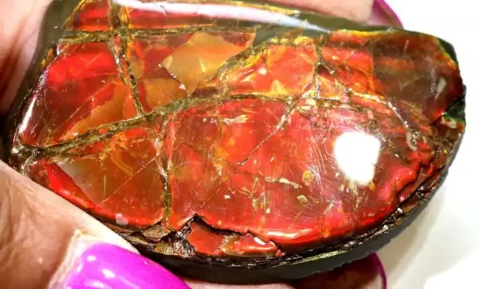120.85-CTS AMMOLITE SPECIMEN RG-2934