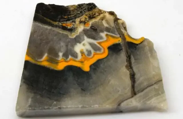120 CTS BUMBLE BEE JASPER ROUGH SLAB -INDONESIA [F5785 ]