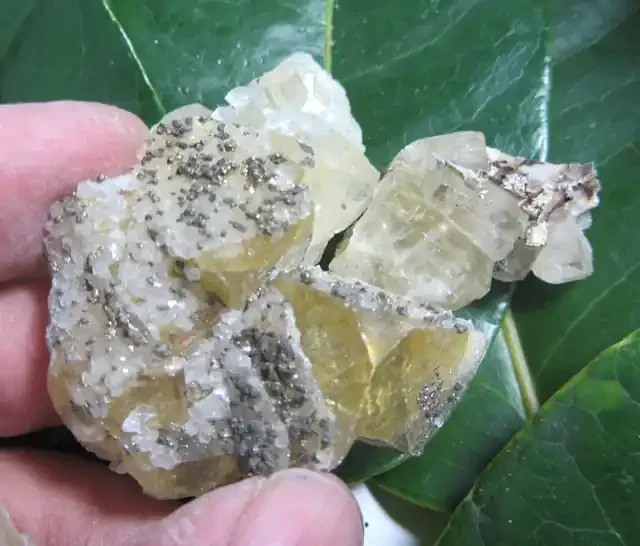 120 GRAMS 4 PIECES NATURAL FLUORITE SPECIMEN MS 1999