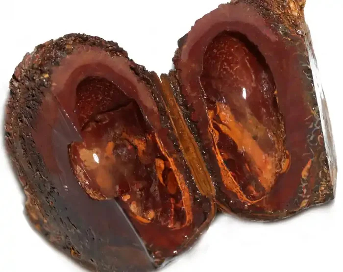 1207.10 CTS YOWAH PHANTOM NUTS SPECIMEN-AUSTRALIA [MGW8092]
