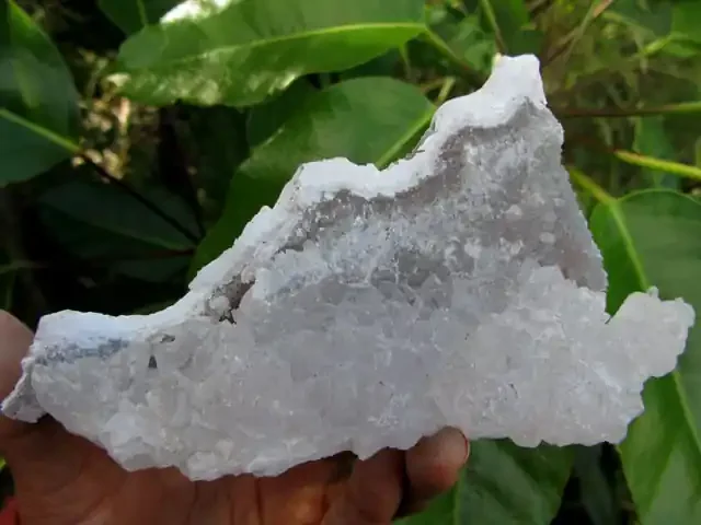 1235 CTS AMETHYST CRYSTAL FLOWER DISPLAY SPECIMEN MS1843