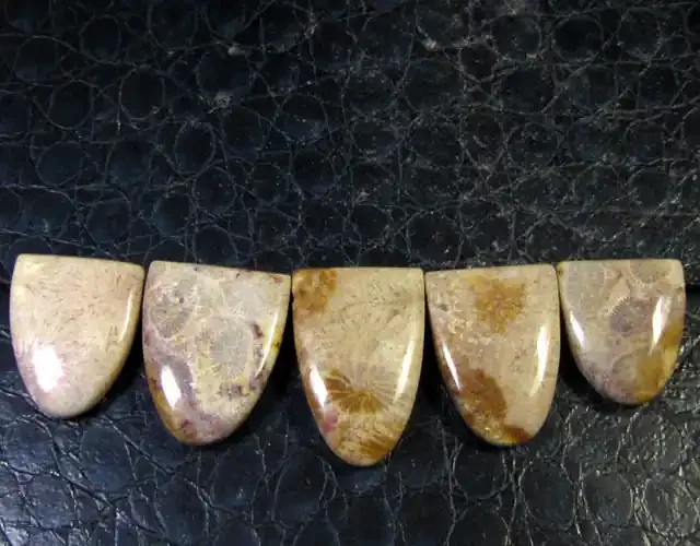 125 CTS CORAL FOSSILFIVE PIECE GEMSTONE PENDANT GG 271
