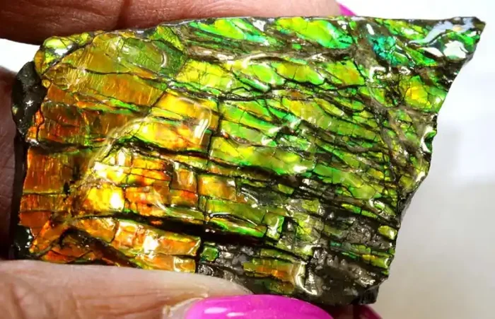 129.75-CTS AMMOLITE SPECIMEN RG-2940