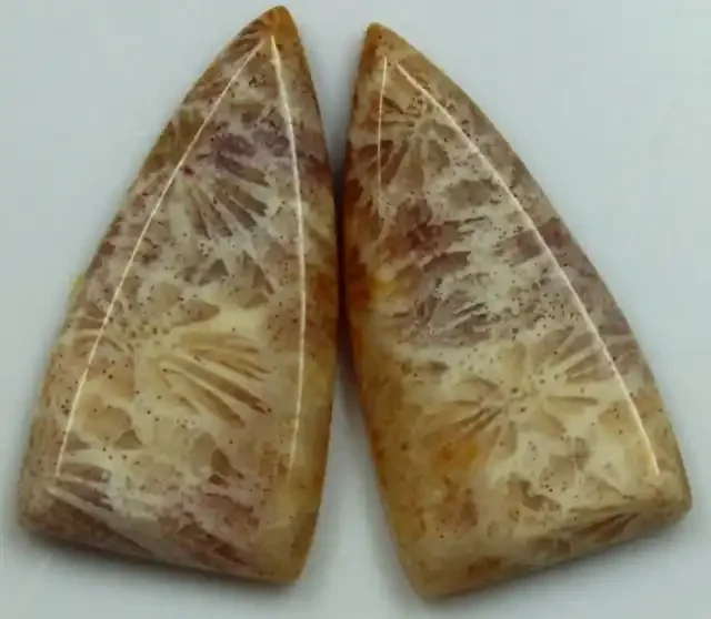 13.40 CTS PAIR OF POLISHED CORAL NATURAL STONES