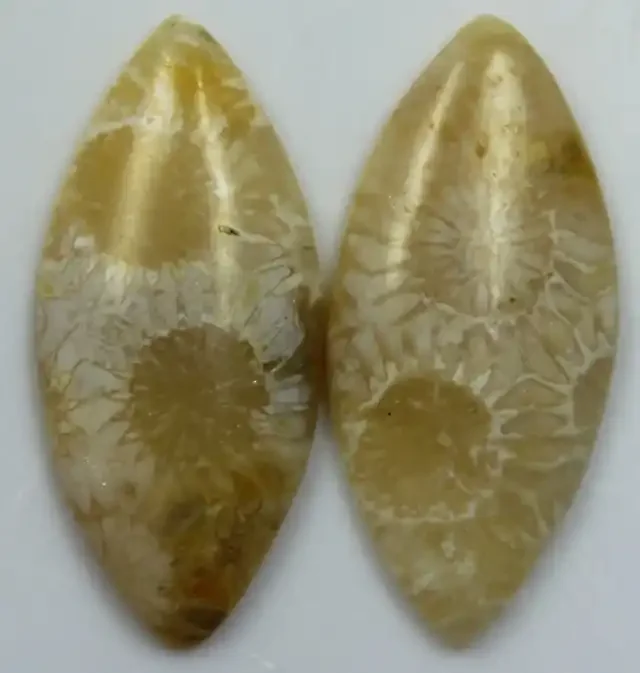 13.55 CTS PAIR OF POLISHED CORAL NATURAL STONES