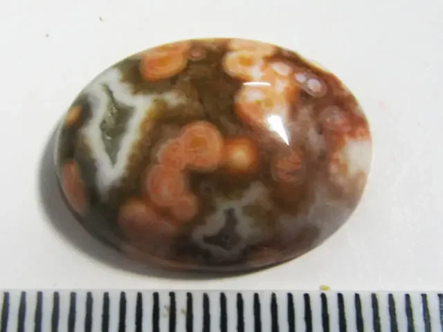 13.75 CTS CAB OCEAN JASPER GEMSTONE MS 1479