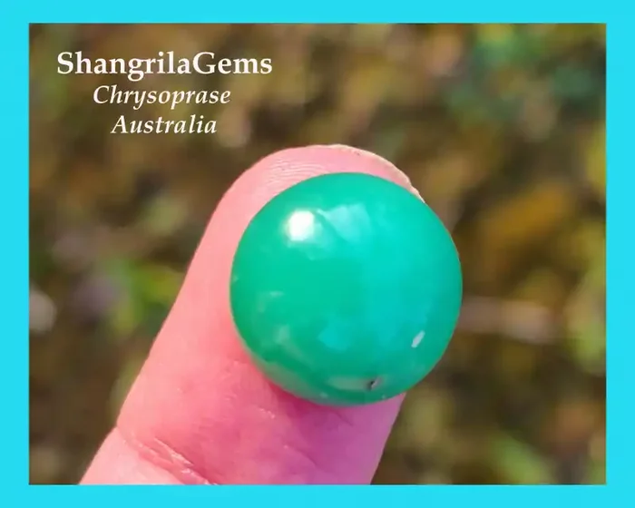 13.75mm Chrysoprase round green cabochon Australia 13.75 by 8mm 12.7ct