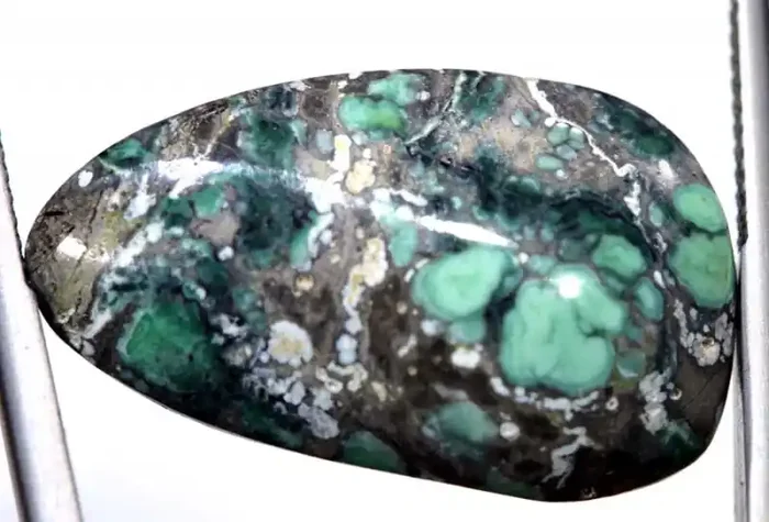 13 CTS BLUEBOY VARISCITE CLAM PSEUDOMORPH TBG-3462