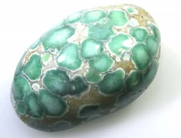 14.10CTS BLUEBOY VARISCITE CLAM PSEUDOMORPH TBG-3152