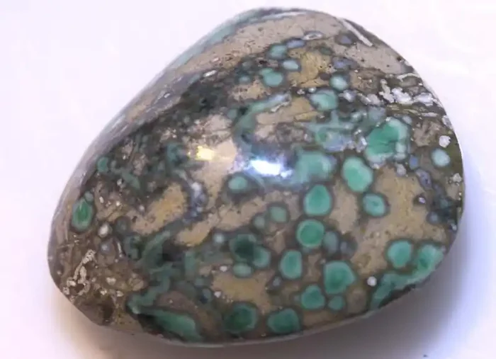 14.25 CTS BLUEBOY VARISCITE CLAM PSEUDOMORPH TBG-3187