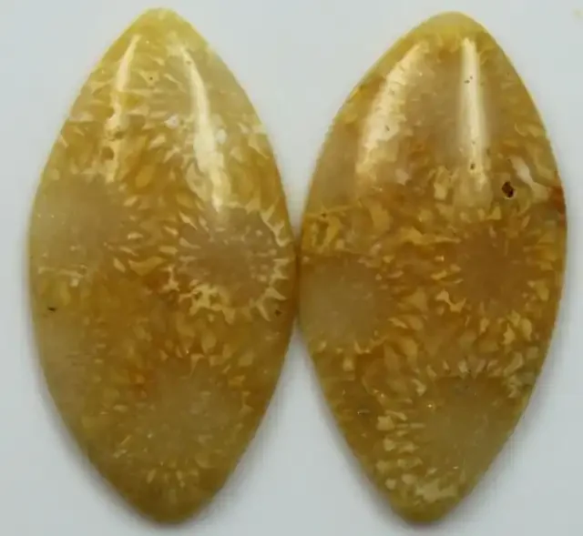 14.85 CTS PAIR OF POLISHED CORAL NATURAL STONES