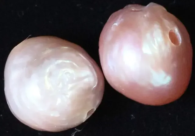 14.90 cts 2 natural Apricot Pearls PPP823