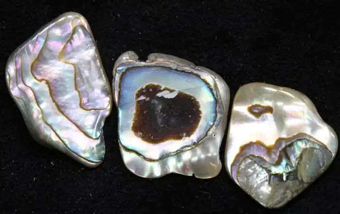 14.95 CTS ABALONE SHELL PARCEL (3PCS) ADG-1168