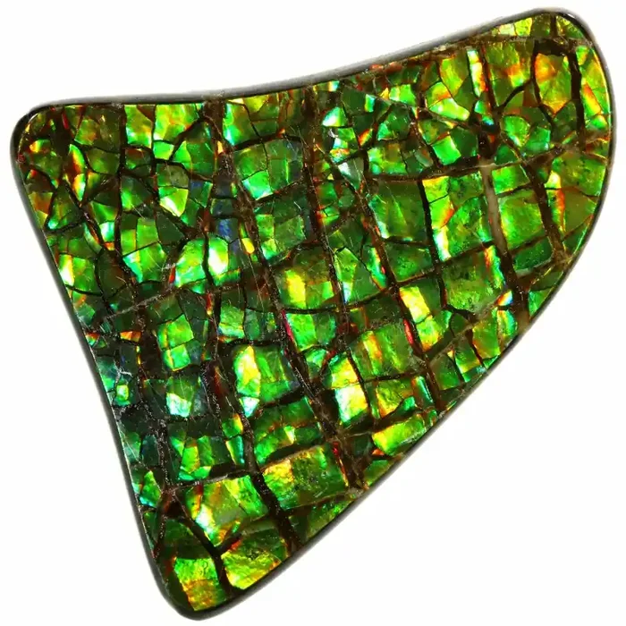 14.95 CTS AMMOLITE STONE FROM CANADA [SAFE132]