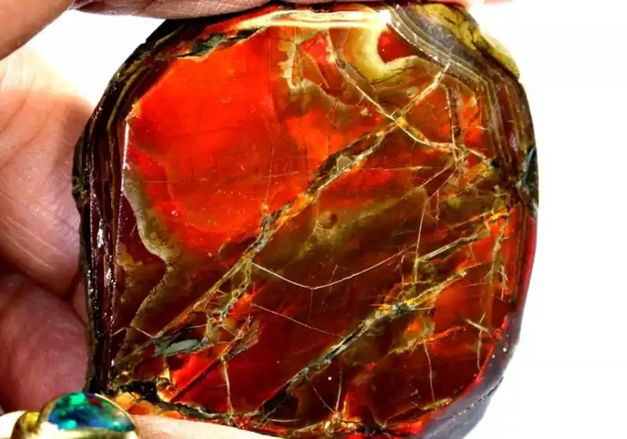 140.20-CTS AMMOLITE SPECIMEN RG-2889
