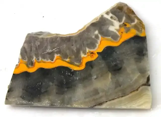 149.2 CTS BUMBLE BEE JASPER ROUGH SLAB -INDONESIA [F5671 ]