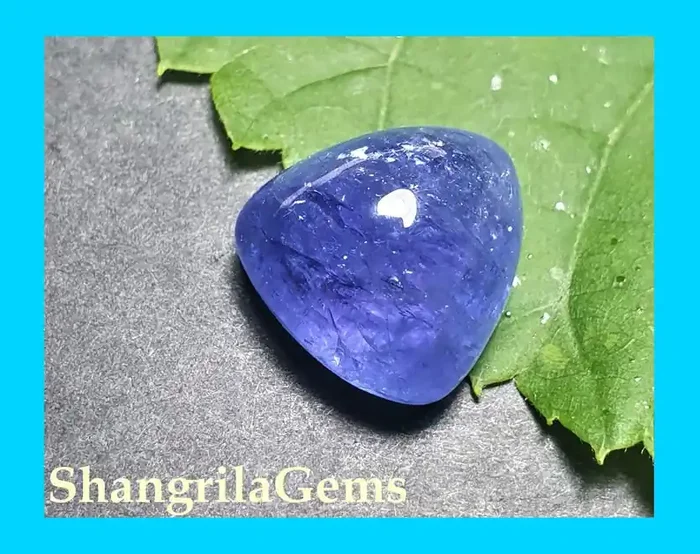 14mm 16.90ct Tanzanite cabochon trillion triangle 14 by 14 by 10mm