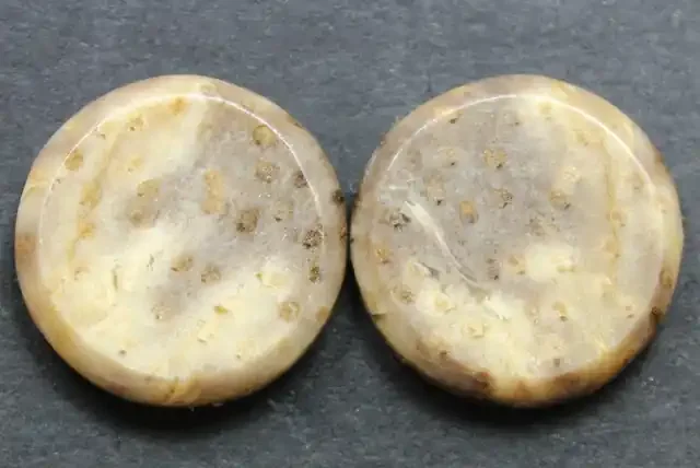 15.85 CTS FOSSIL PALM WOOD PAIR OF STONES