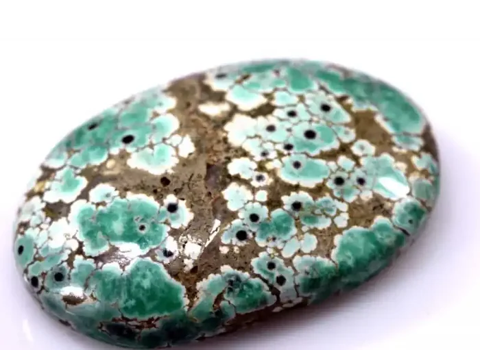 15 CTS BLUEBOY VARISCITE CLAM PSEUDOMORPH TBG-3421