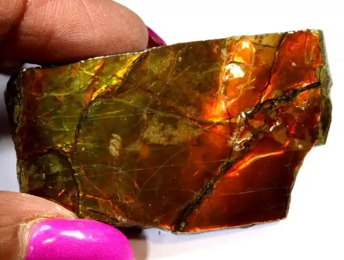 152.90-CTS AMMOLITE SPECIMEN RG-2888