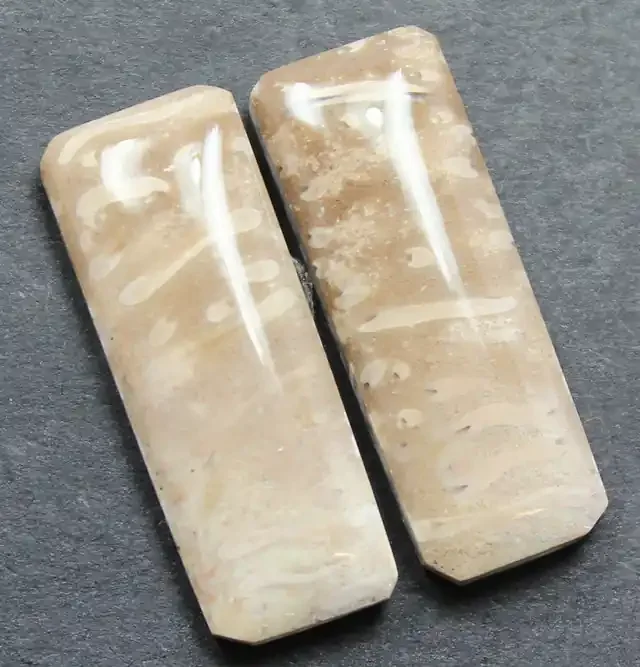 16.35 CTS FOSSIL PALM WOOD PAIR OF STONES