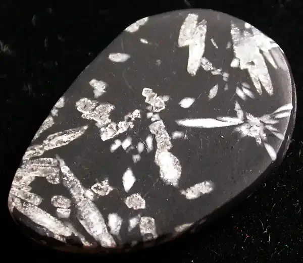 16.95 CTS CHRYSANTHEMUM FLOWER STONE -CHINA [MGW570]