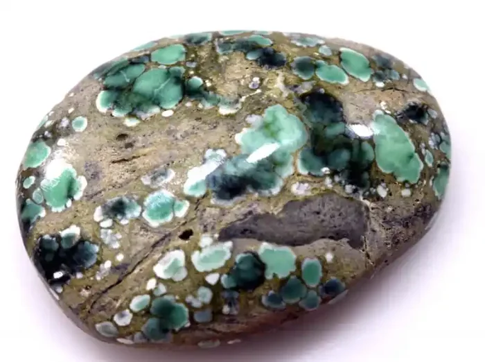 16 CTS BLUEBOY VARISCITE CLAM PSEUDOMORPH TBG-3431