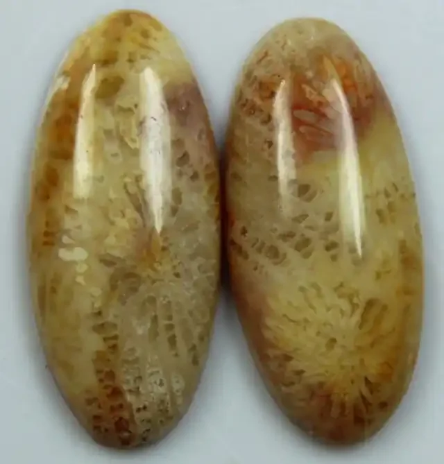 17.00 CTS PAIR OF POLISHED CORAL NATURAL STONES
