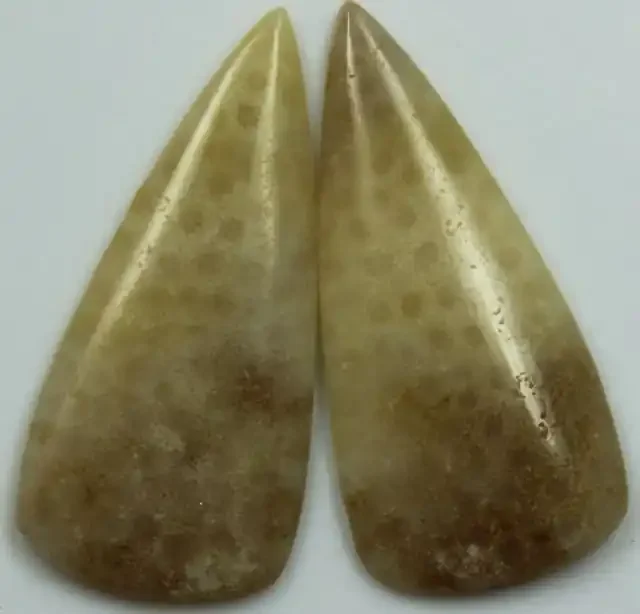 17.65 CTS PAIR OF POLISHED CORAL NATURAL STONES
