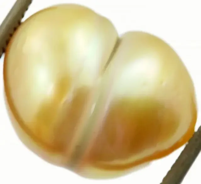 17.7 Cts Golden Love Heart Shape Natural Pearl [PPP879]